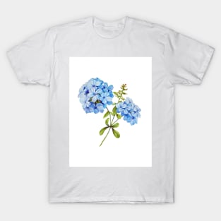 Watercolor botanical vintage Floral minimalist print- hydrangea T-Shirt